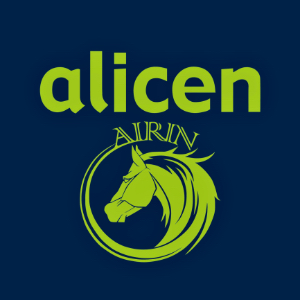 Grupo Alicen-Airin